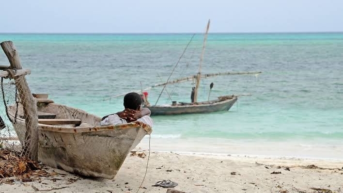 Tropical Expedition Zanzibar