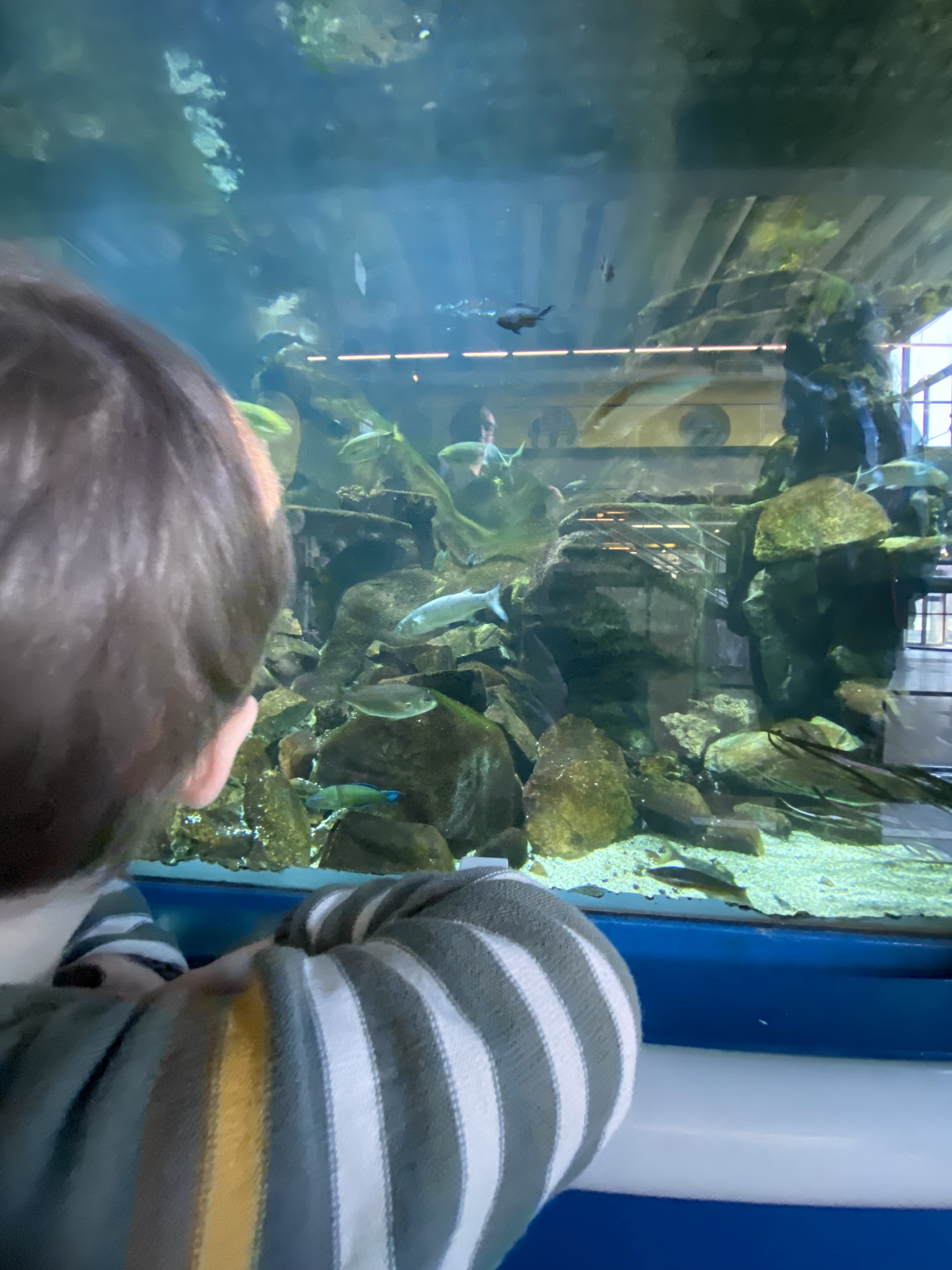 Photo n° 2 de l'avis de Thibault.p fait le 20/02/2023 à 16:53