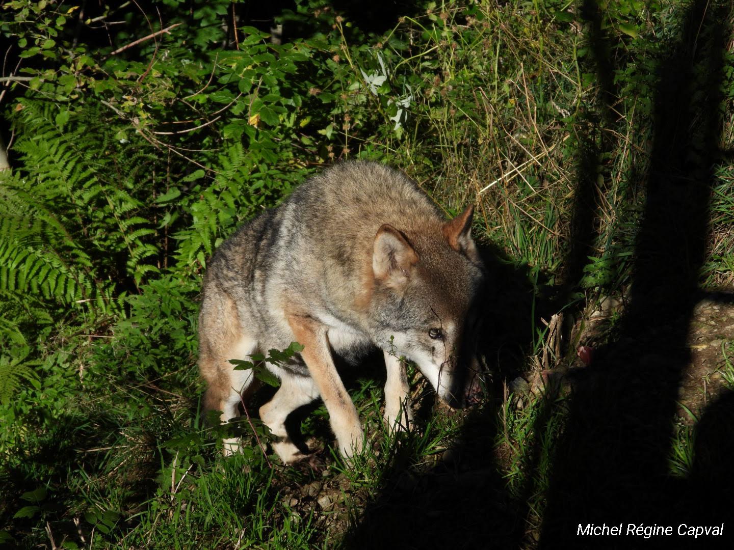 Photo n° 27 de l'avis de michel.a fait le 03/10/2019 à 13:25