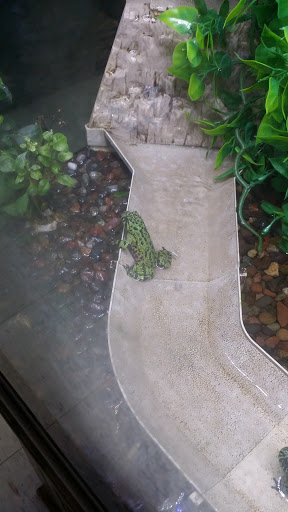 Pet Supply Store «Paws & Claws & Co», reviews and photos, 1801 E Market St, Warsaw, IN 46580, USA