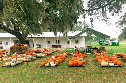 Coffee Store «Coffee Shop of Horrors», reviews and photos, 16937 Lakeside Dr, Montverde, FL 34756, USA