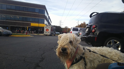 Bicycle Store «The Bike Lane», reviews and photos, 11943 Democracy Dr, Reston, VA 20190, USA