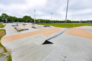 Berry Lane Skatepark image