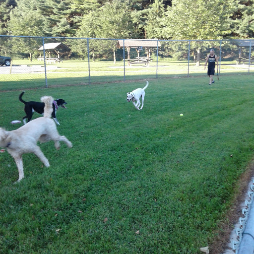 Water Park «Killens Pond Water Park», reviews and photos, 5025 Killens Pond Rd, Felton, DE 19943, USA