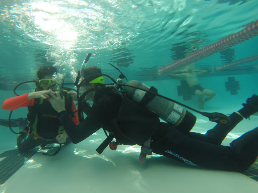 Dive Shop «Orbit Marine Sports Center Inc», reviews and photos, 3273 Fairfield Ave, Bridgeport, CT 06605, USA