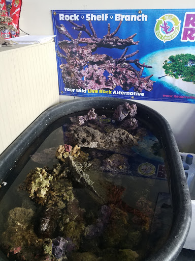 Aquarium «Nemos Aquarium», reviews and photos, 4051 Stone Mountain Hwy, Snellville, GA 30039, USA