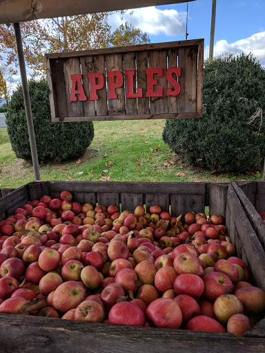Produce Market «Richards Fruit Market», reviews and photos, 6410 Middle Rd, Middletown, VA 22645, USA