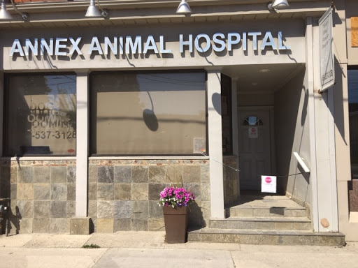Annex Animal Hospital