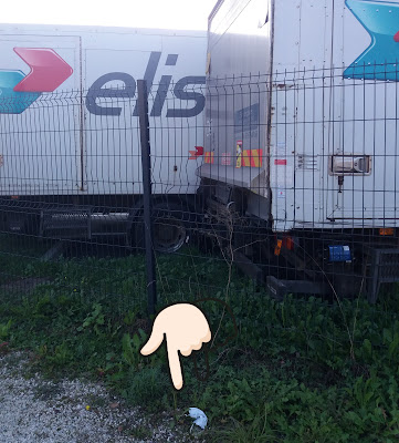 Elis Savoies à Aix-les-Bains