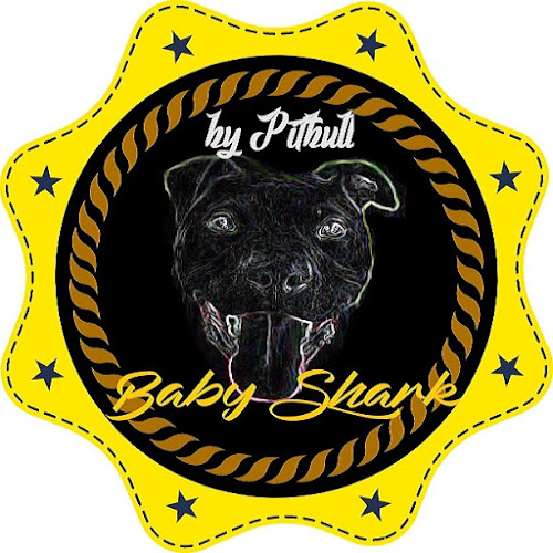 Baby Shark - Ústí nad Labem