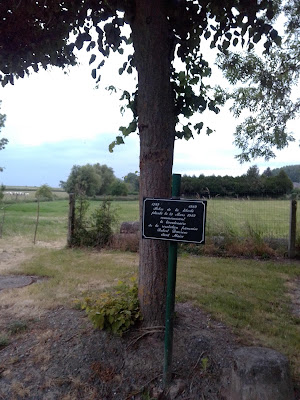 Arbre de la liberté de Ruesnes à Ruesnes