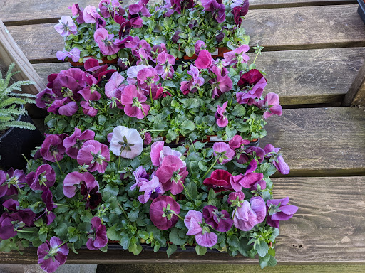 Home Improvement Store «Menards», reviews and photos, 3800 National Rd E, Richmond, IN 47374, USA