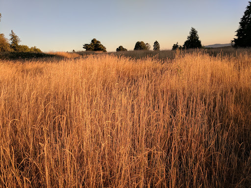 Park «Discovery Park», reviews and photos, 3801 Discovery Park Blvd, Seattle, WA 98199, USA