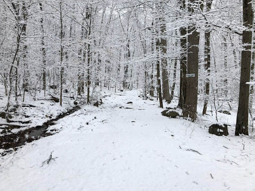 Nature Preserve «The New Weis Center for Education, Arts & Recreation», reviews and photos, 150 Snake Den Rd, Ringwood, NJ 07456, USA