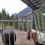 Photo n°7 de l'avis de marina.a fait le 01/04/2024 à 13:11 sur le  Agritur El Mas à Moena