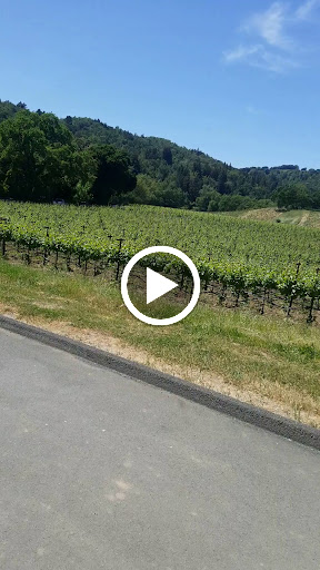 Winery «Hendry Winery», reviews and photos, 3104 Redwood Rd, Napa, CA 94558, USA