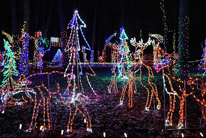 Christmas Magic 'A Festival Of Lights'