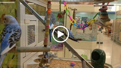Pet Supply Store «PetSmart», reviews and photos, 70 Worcester-Providence Turnpike #240, Millbury, MA 01527, USA