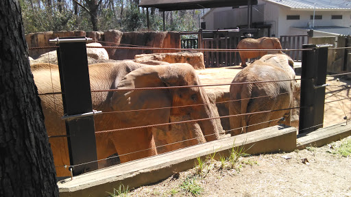 Zoo «Riverbanks Zoo and Garden», reviews and photos, 500 Wildlife Pkwy, Columbia, SC 29210, USA