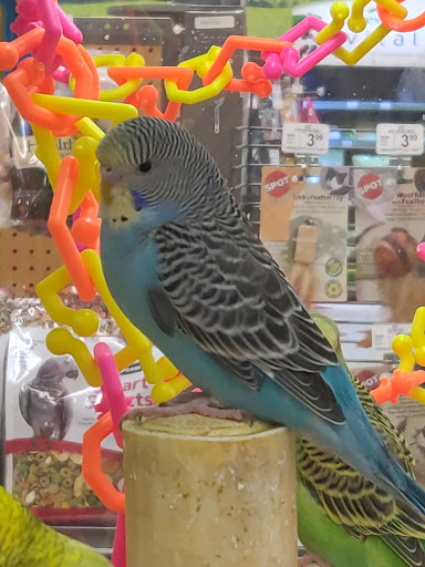 Pet Supply Store «Petco Animal Supplies», reviews and photos, 340 Leonardwood Dr, Frankfort, KY 40601, USA