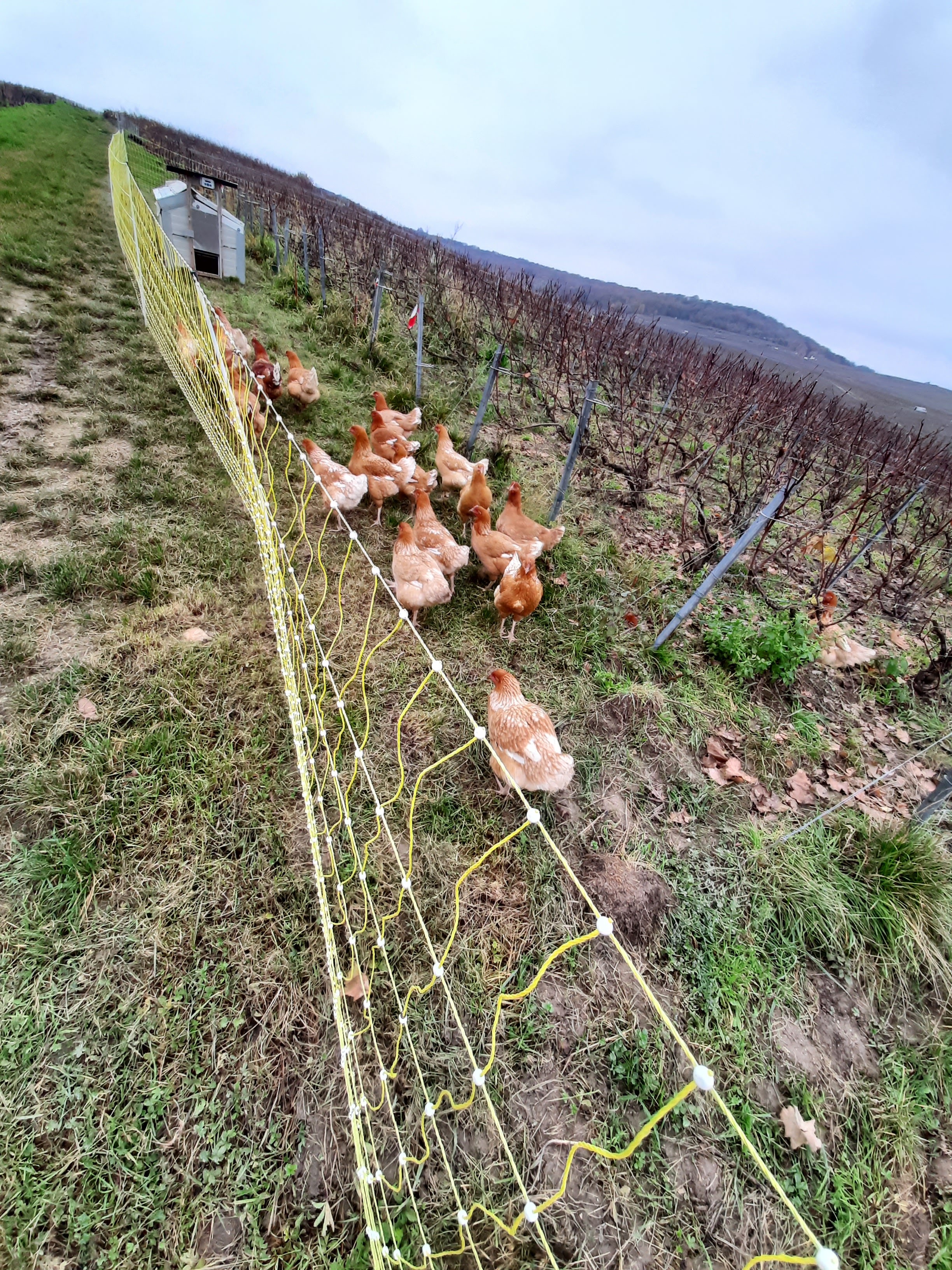 Photo n° 38 de l'avis de Stefano.a fait le 15/11/2021 à 18:24
