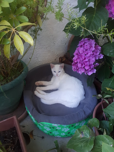Teléfono de Veterinaria Peñuelas