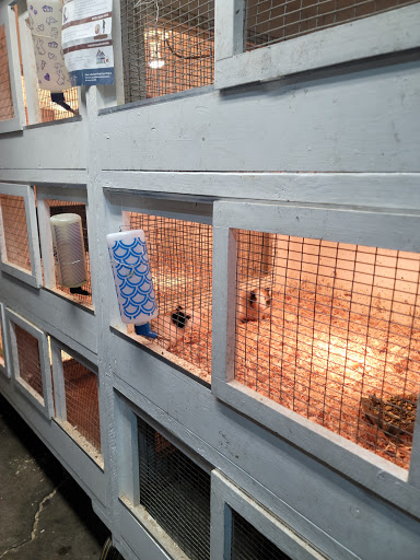 Animal Feed Store «Farmers Feed & Pet Supply», reviews and photos, 1302 E Miner Ave, Stockton, CA 95205, USA