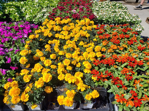 Home Improvement Store «The Home Depot», reviews and photos, 2350 Cortez Rd W, Bradenton, FL 34207, USA