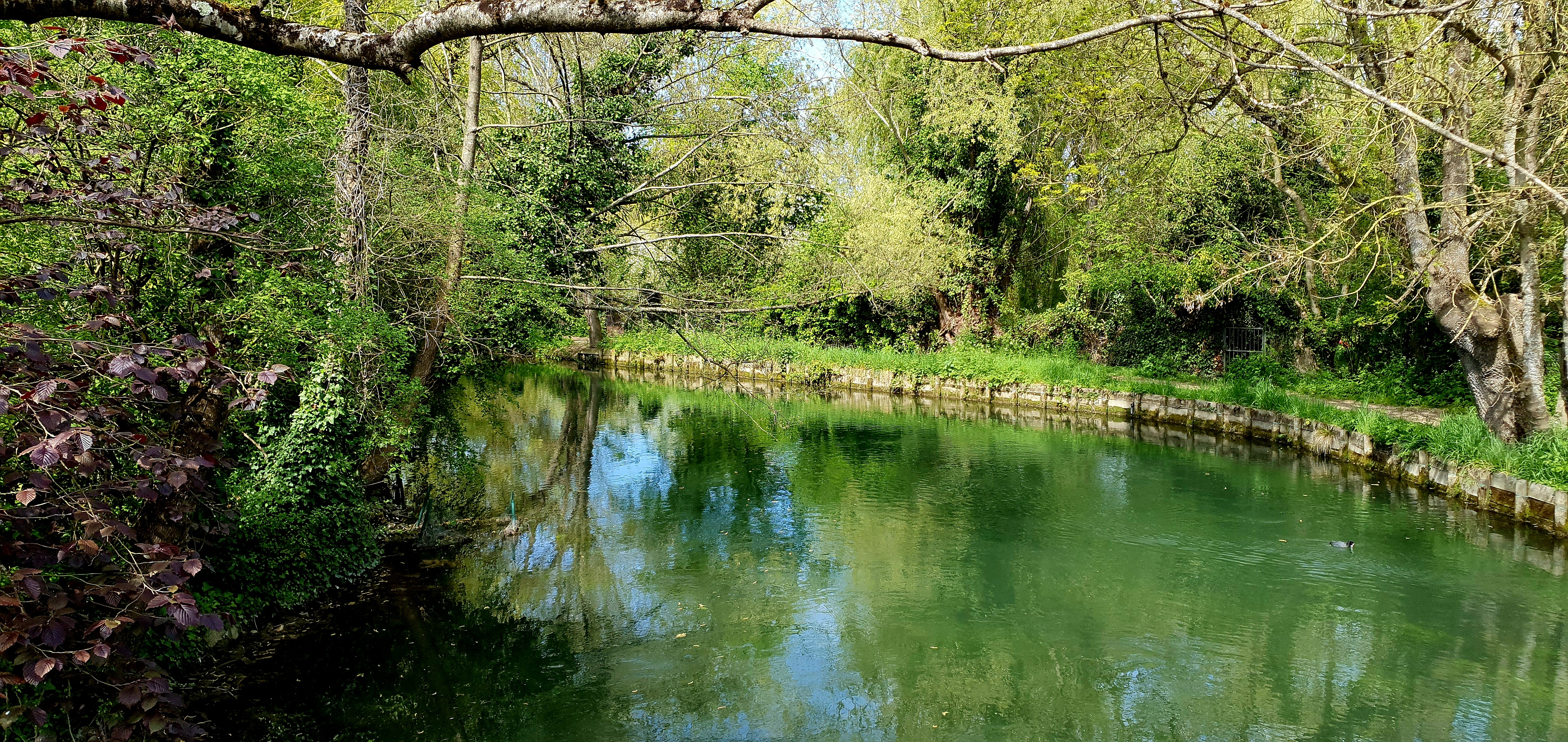 Photo n° 20 de l'avis de CRISTOBALDIA.a fait le 21/04/2023 à 18:49