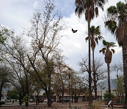 Plaza del Chorro photo