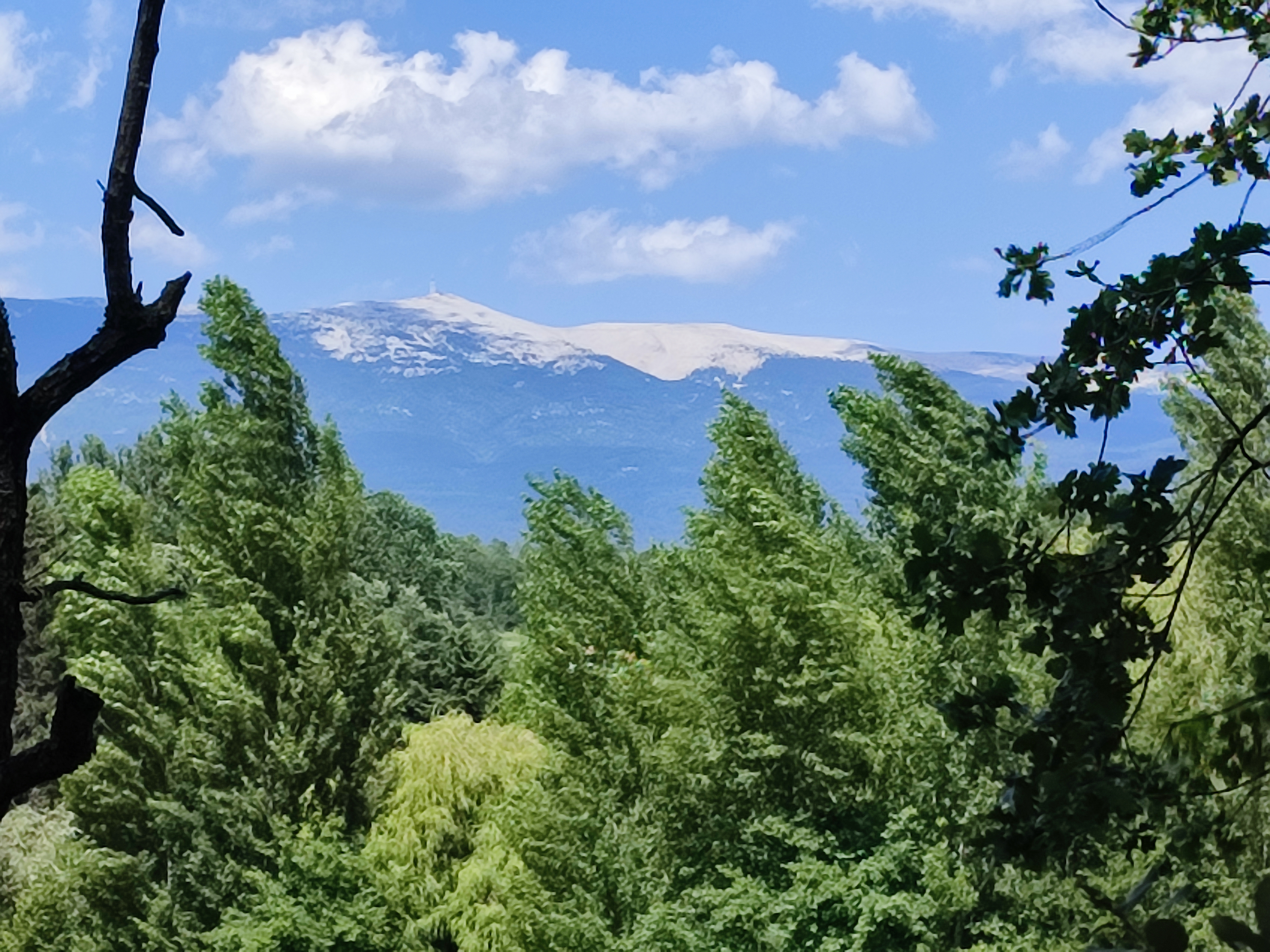 Photo n° 2 de l'avis de Delph.R fait le 15/07/2023 à 16:21