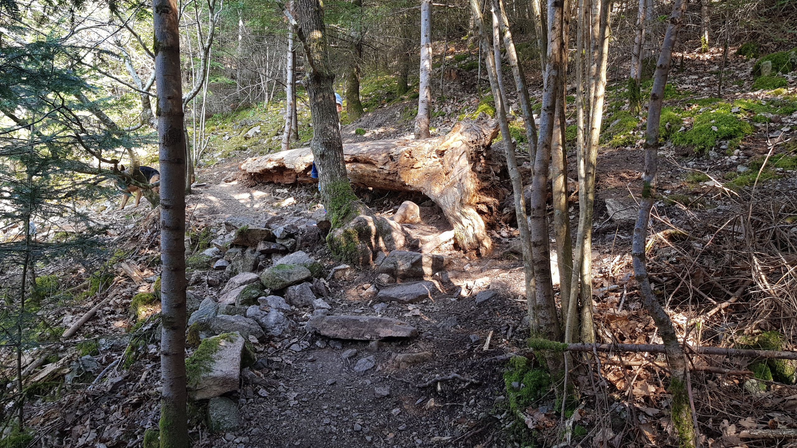 Photo n° 23 de l'avis de Nyko.a fait le 26/03/2022 à 17:25