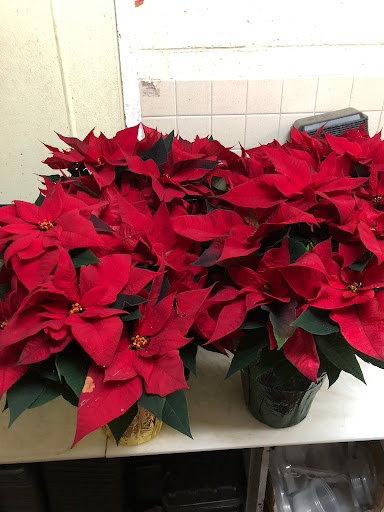 Supermarket «Superfood Marketplace - Allentown, PA», reviews and photos, 704 W Emmaus Ave, Allentown, PA 18103, USA