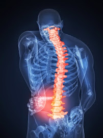 Archer Chiropractic Clinic