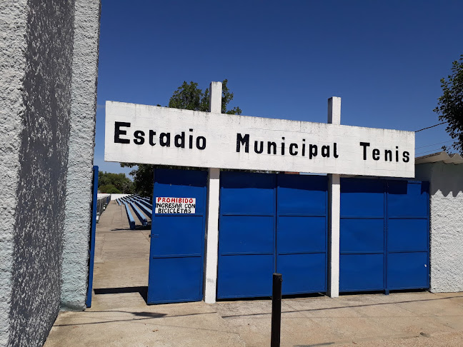 Opiniones de Estadio Municipal el Tenis en Rocha - Campo de fútbol