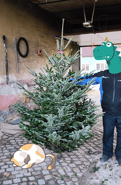 Prodej vánočních stromků Jan Růžička