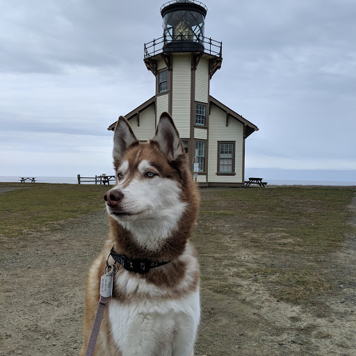Museum «Lightkeepers Museum», reviews and photos, 45300 Lighthouse Rd, Mendocino, CA 95460, USA