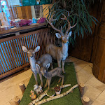 Photo n°3 de l'avis de Edvin.u fait le 03/03/2024 à 08:27 sur le  Hotel Badehof à Bad Salzschlirf