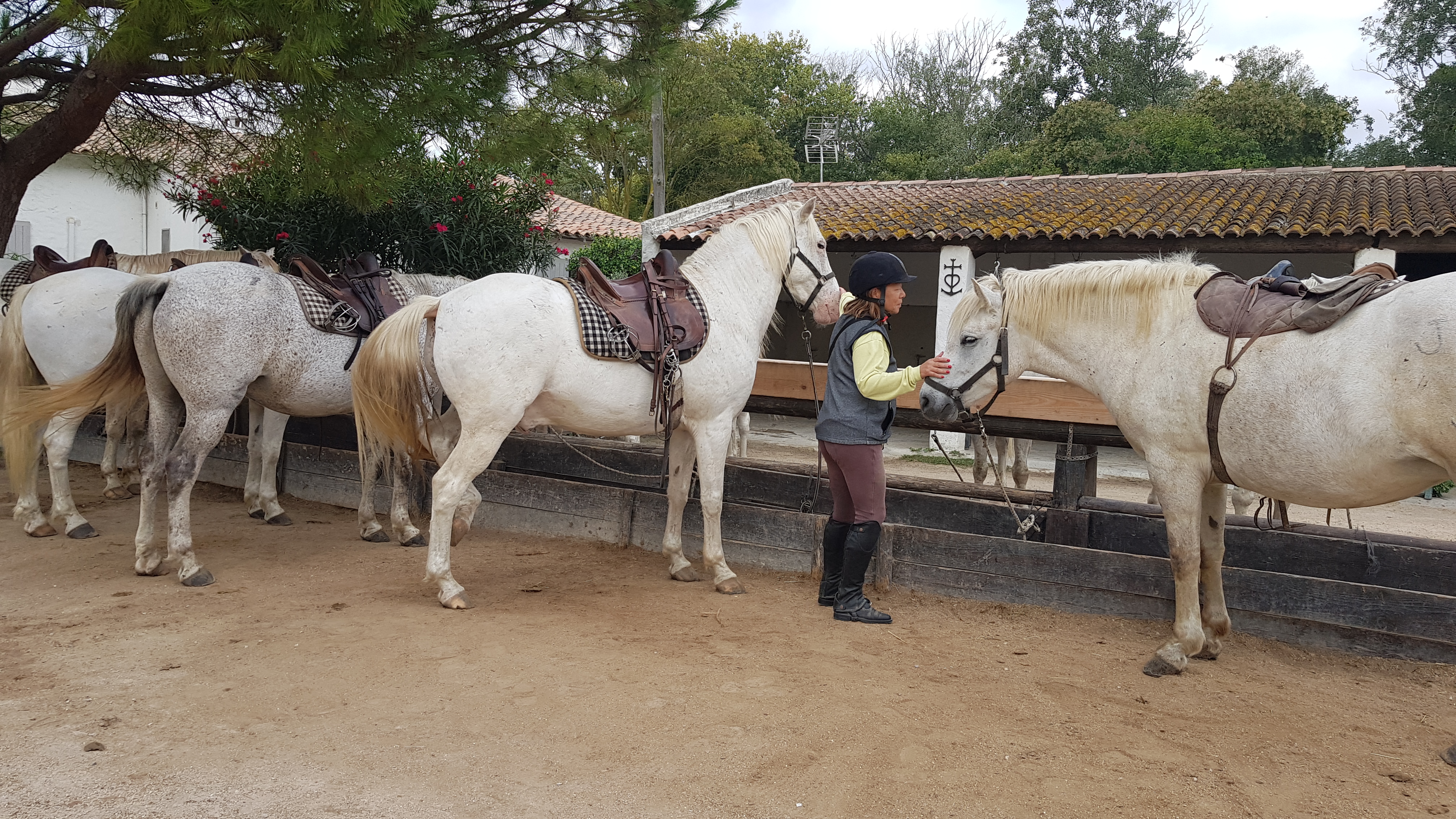 Photo n° 1 de l'avis de Ugo.e fait le 10/10/2022 à 14:11