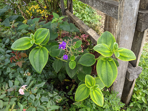 Ice Cream Shop «Cornell Dairy Bar», reviews and photos, 411 Tower Rd, Ithaca, NY 14853, USA