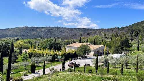 Le Mas d'Antonin - Huiles d'olives - olives - truffes -gîtes à Argeliers