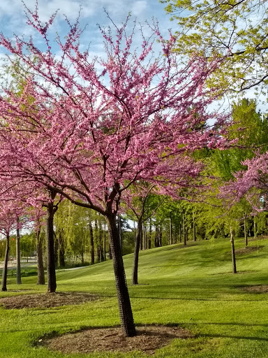 Amphitheater «The Grove», reviews and photos, 425 N Commons Blvd, Mayfield, OH 44143, USA