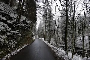Schluchtwald Kalltal image