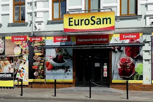 Euro Sam image