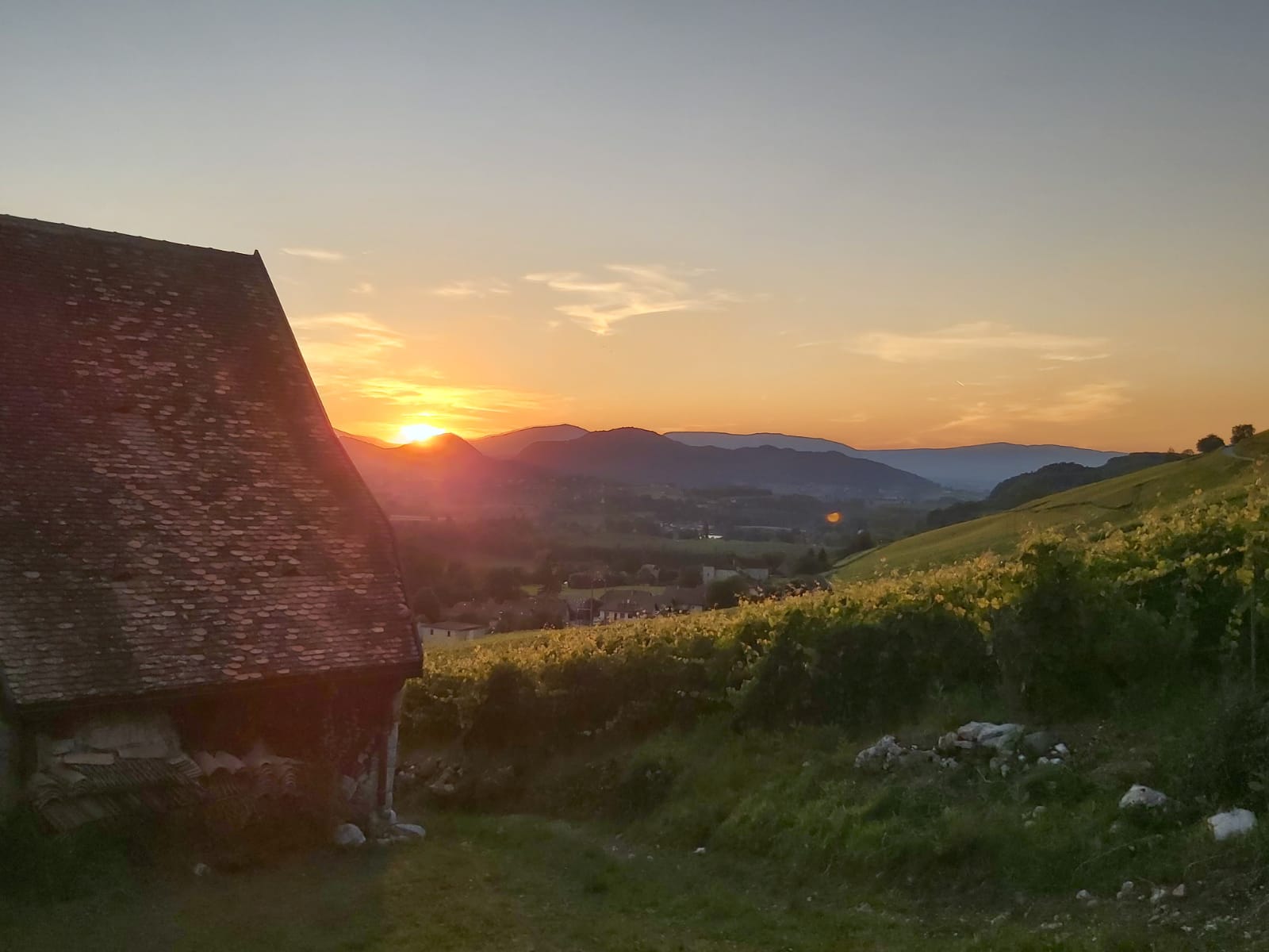 Photo n° 3 de l'avis de Gilbert.. fait le 28/06/2020 à 17:14