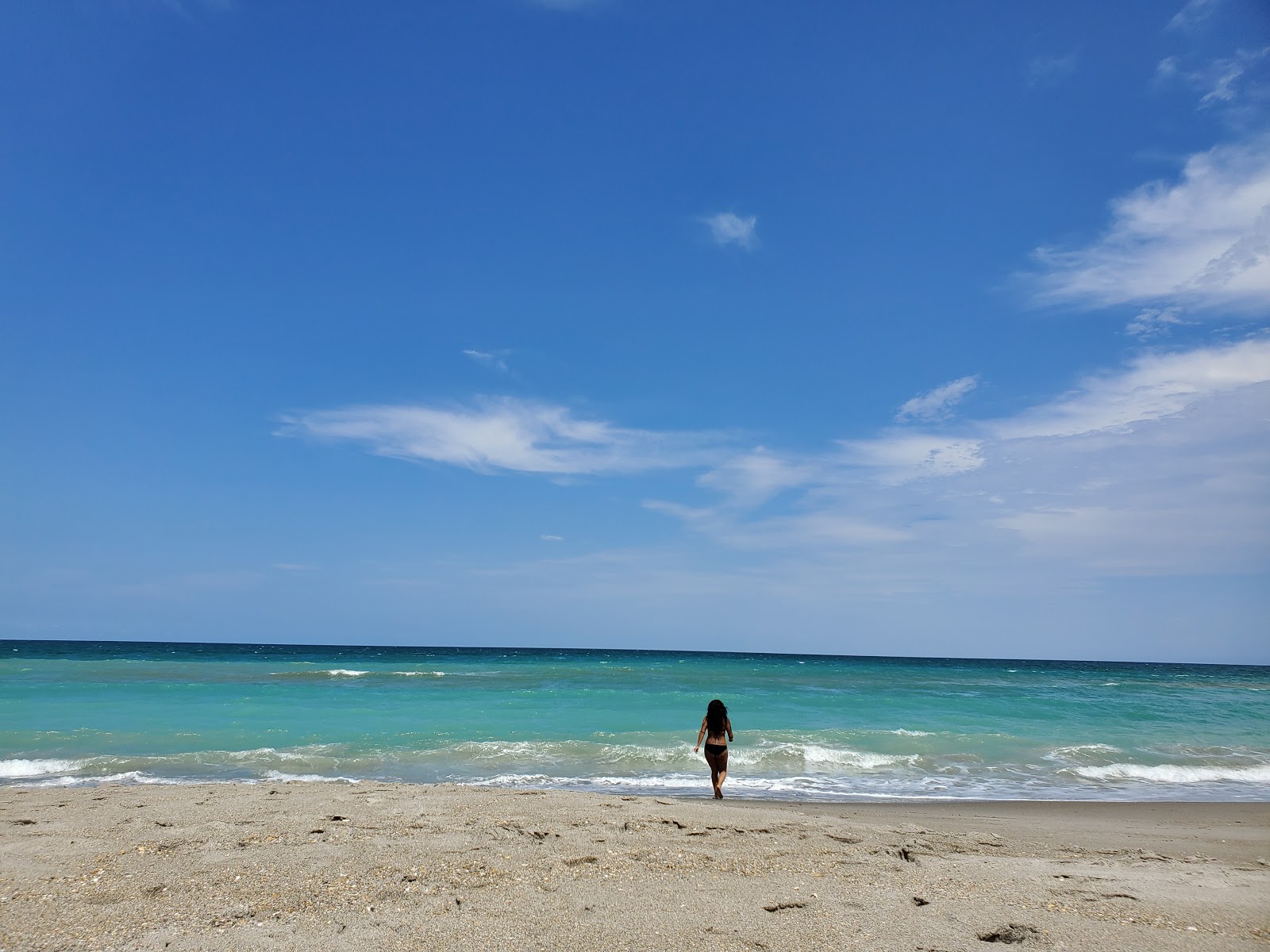 Ocean Ave beach'in fotoğrafı düz ve uzun ile birlikte
