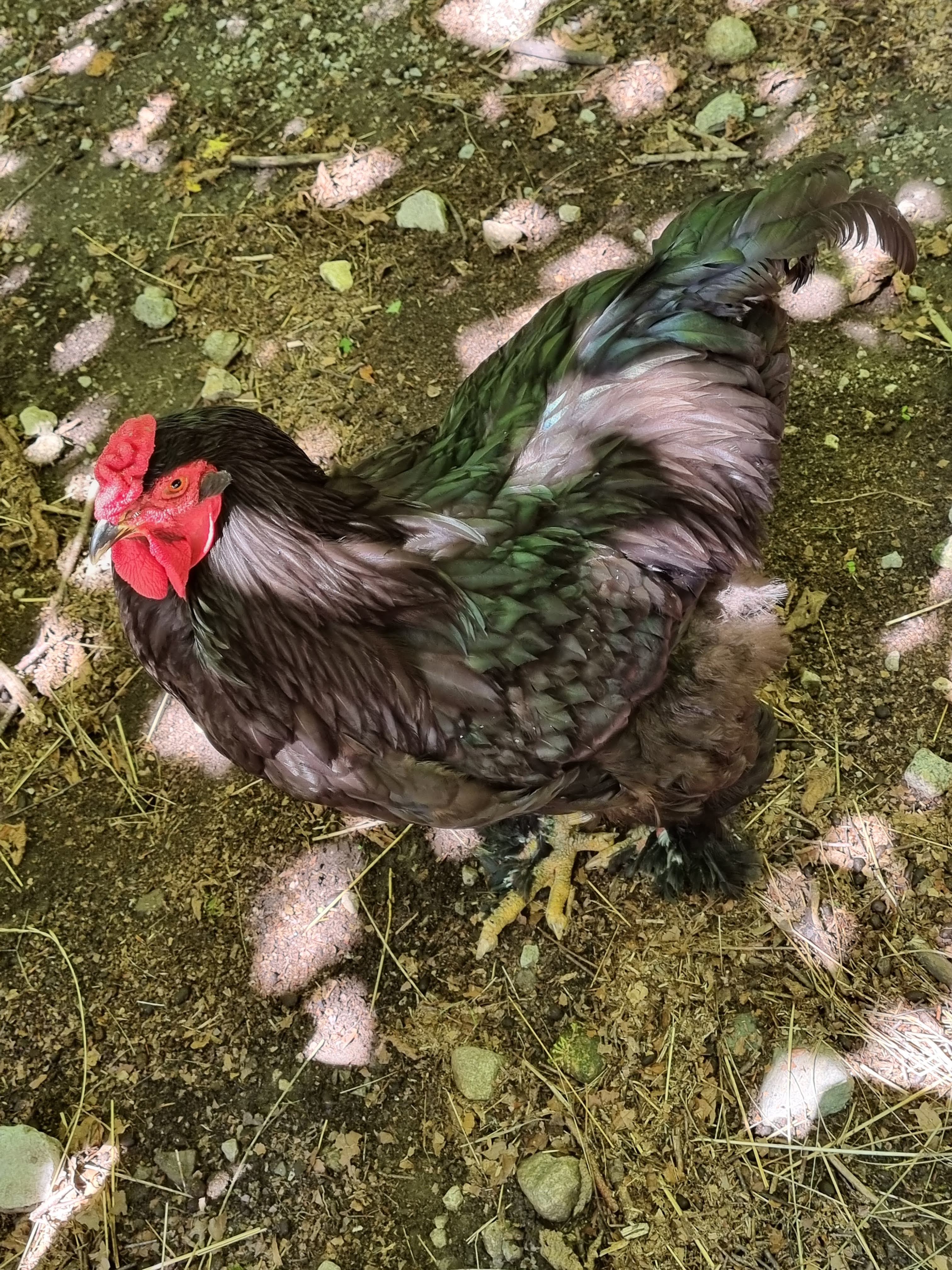 Photo n° 17 de l'avis de Laetitia.a fait le 27/08/2022 à 15:00