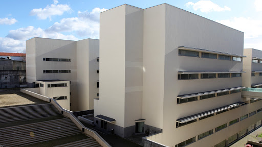 Instituto de Ciências Biomédicas Abel Salazar - U.Porto