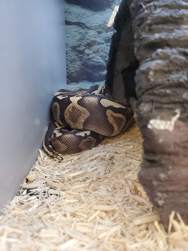 Pet Supply Store «Petco Animal Supplies», reviews and photos, 1419 Towne Square Blvd NW, Roanoke, VA 24019, USA