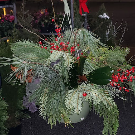 Florist «Floral Fashions», reviews and photos, 78 Purdy Ave, Port Chester, NY 10573, USA